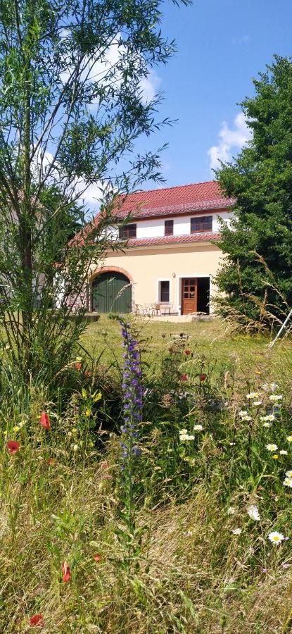 Ferienhof-Kuehn Hochkirch Exterior photo