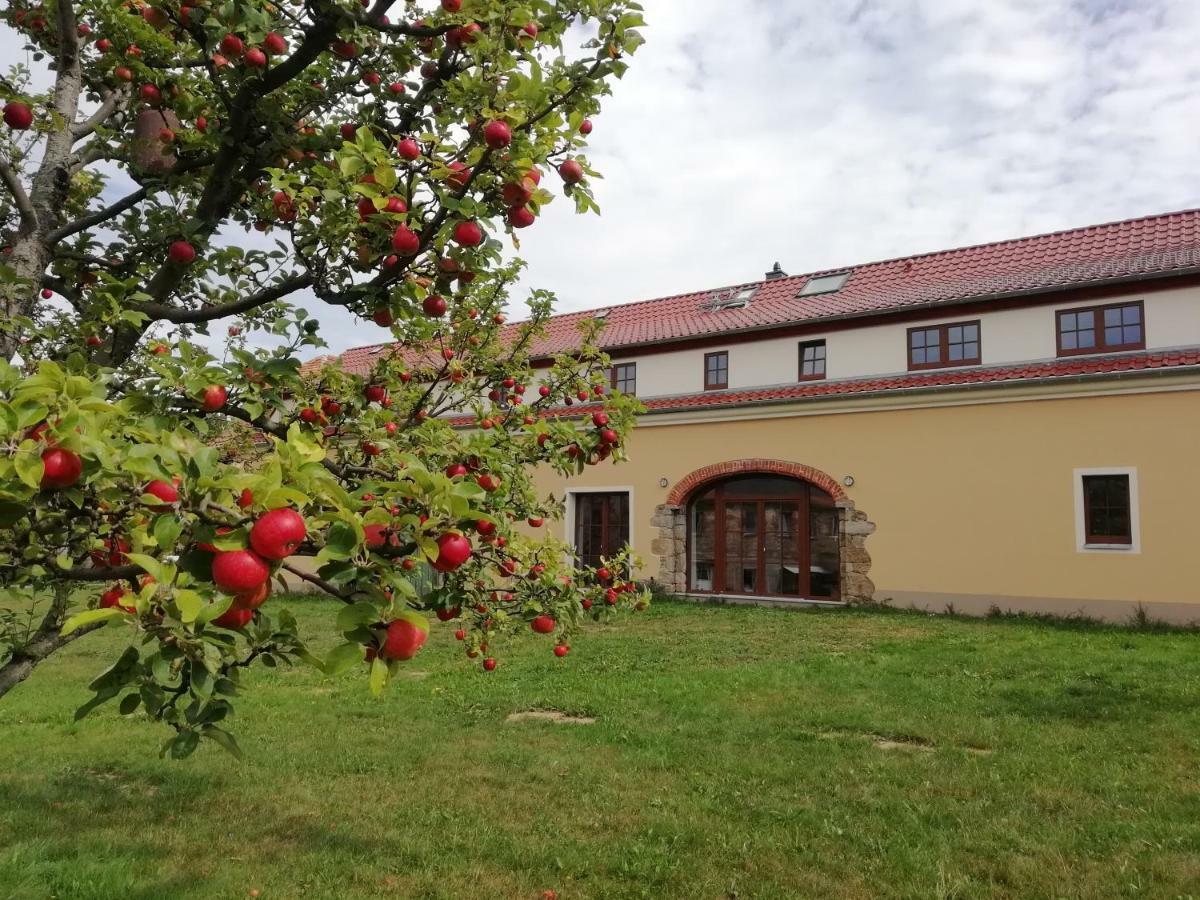 Ferienhof-Kuehn Hochkirch Exterior photo